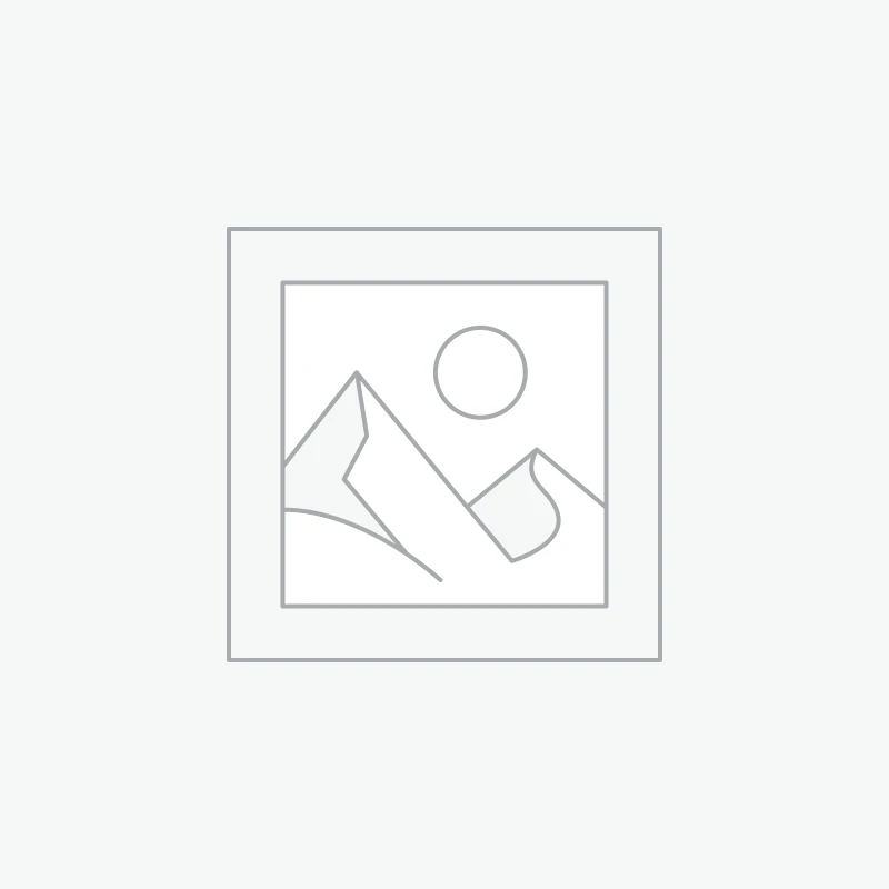 Ace Ultra Premium Disposable