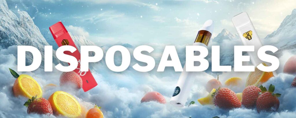 buy disposable vapes